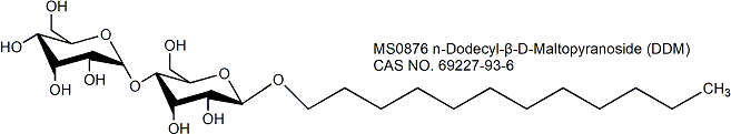 n-Dodecyl-β-D-Maltopyranoside (DDM) 十二烷基-β-D-麦芽糖苷