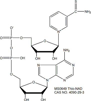 Thio-Nicotinamide Adenine Dinuclotide (Thio-NAD) 硫代氧化型辅酶I