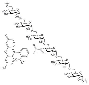 FITC-Dextran 40 (FD40) FITC标记葡聚糖（40 kDa）