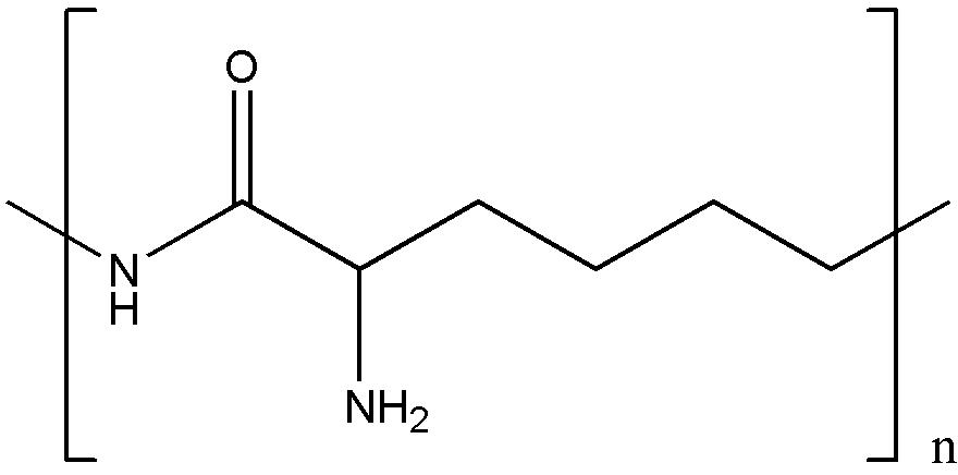 εpolylysineε聚赖氨酸