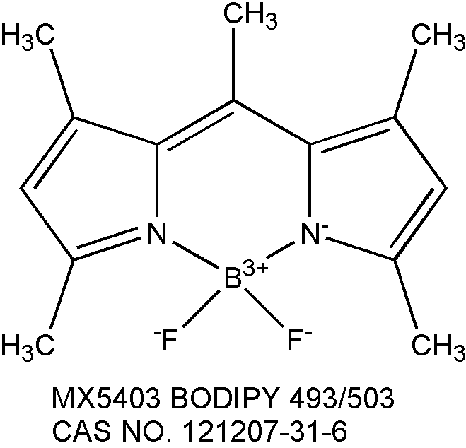 bodipy 493/503 中性脂滴荧光探针